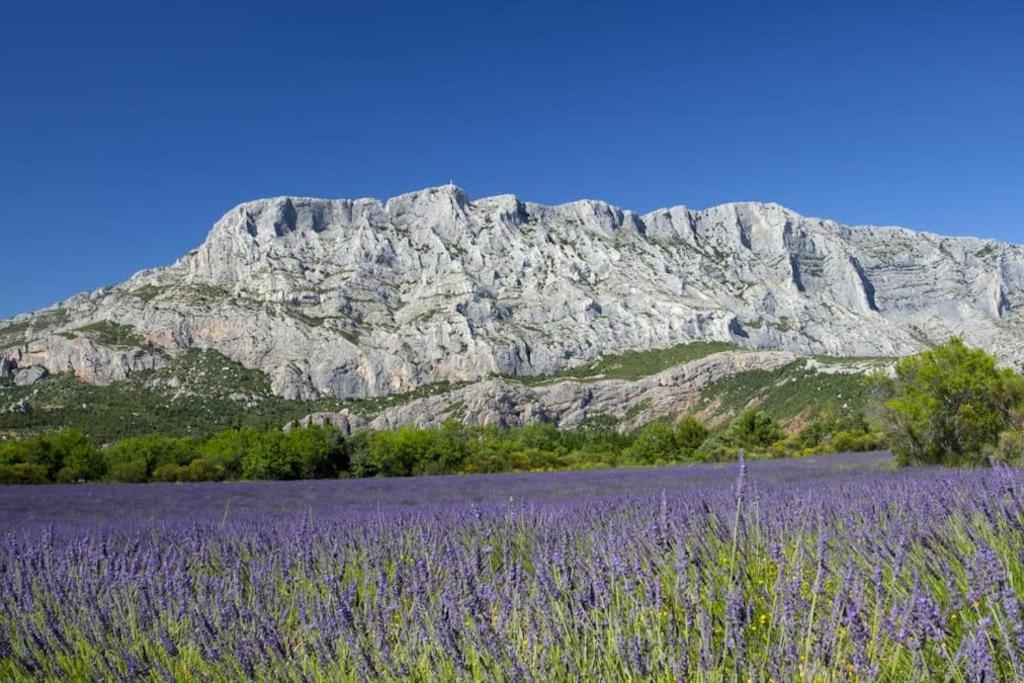 Le Petit Charrier Daire Aix-en-Provence Dış mekan fotoğraf